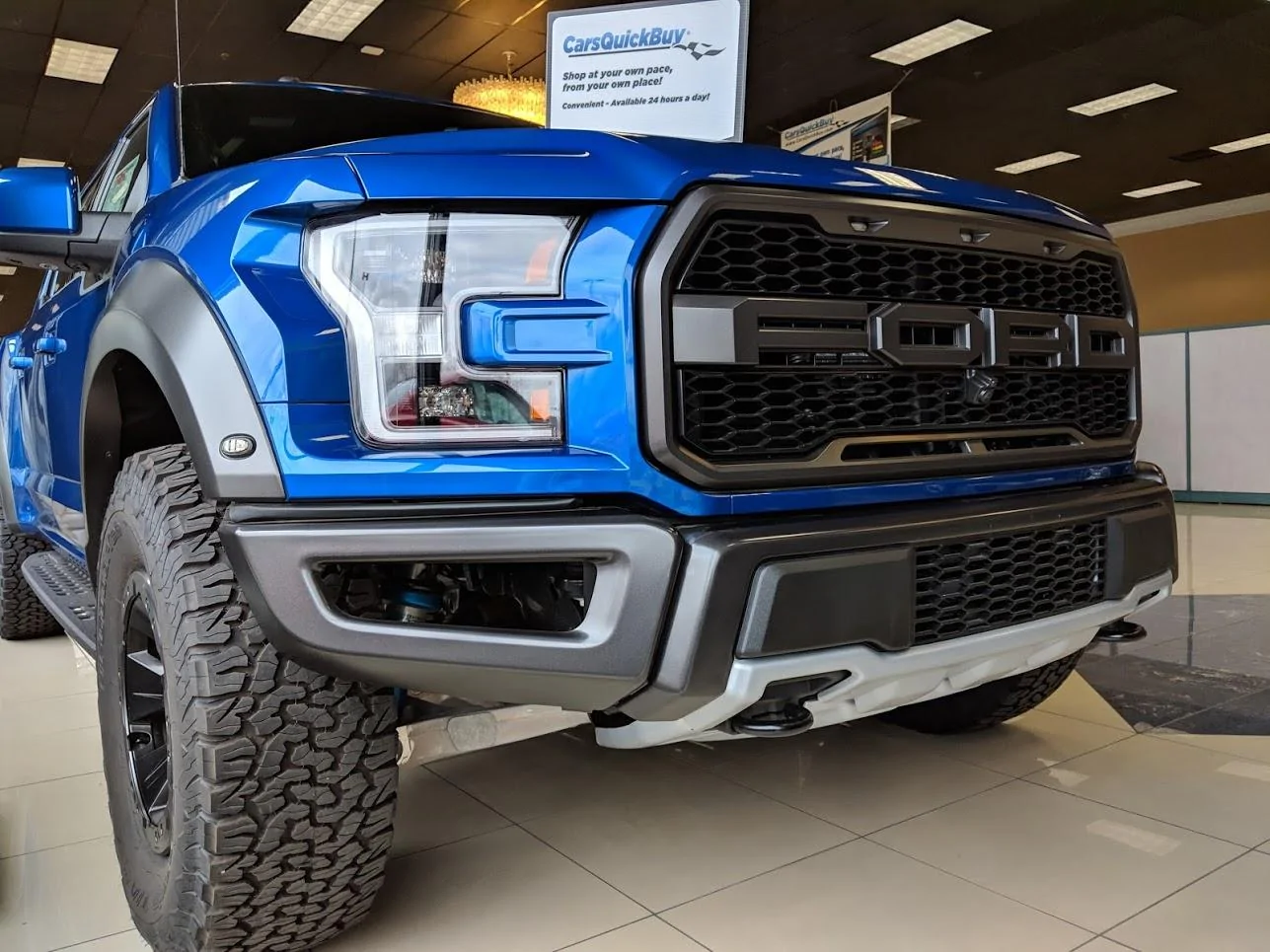 Raptor front BC.webp