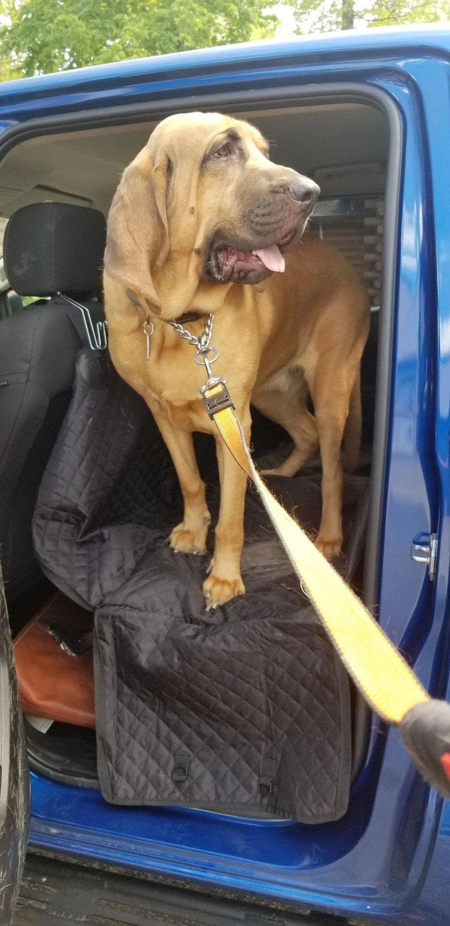 20190514_155517.webp