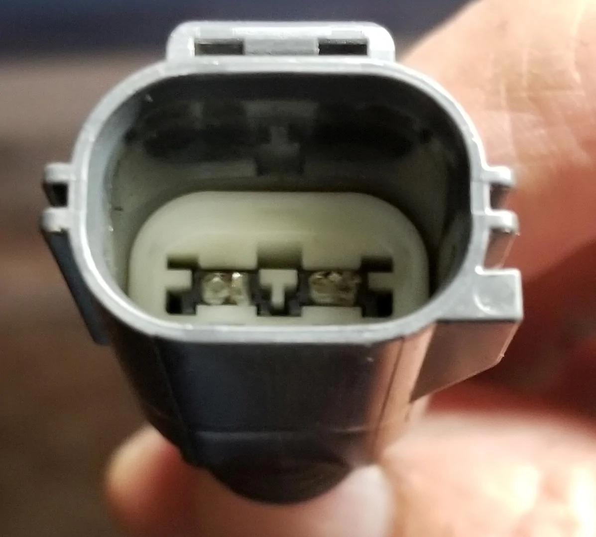 PlugPins.webp
