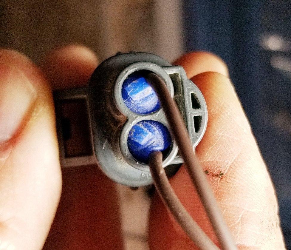 PlugBack.jpg
