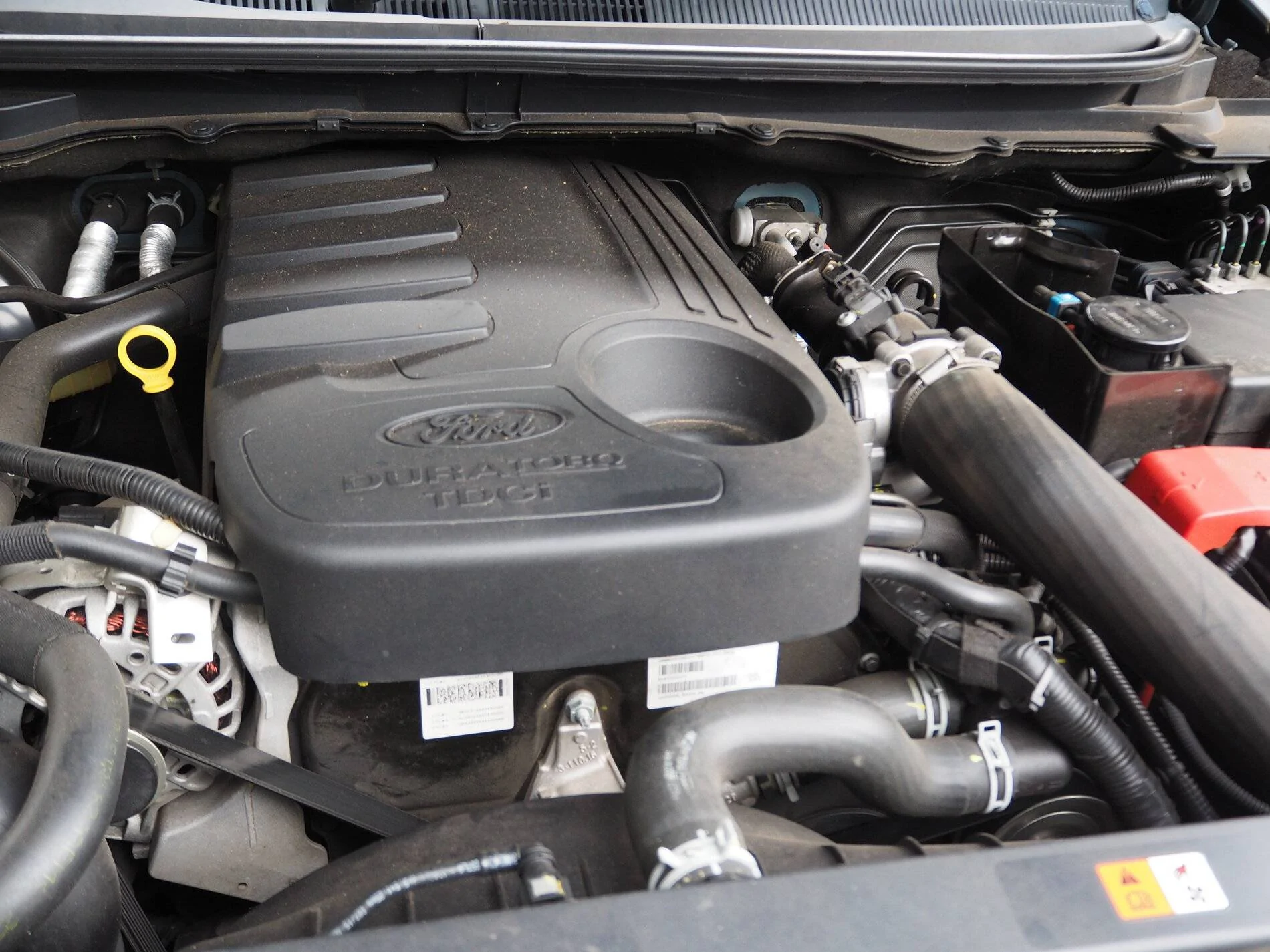 P4181165.webp