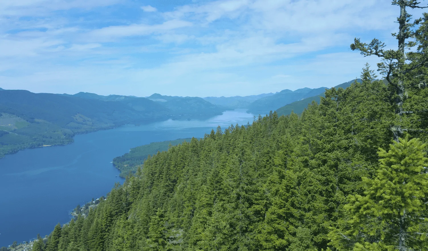 cowichan lake - Copy.webp