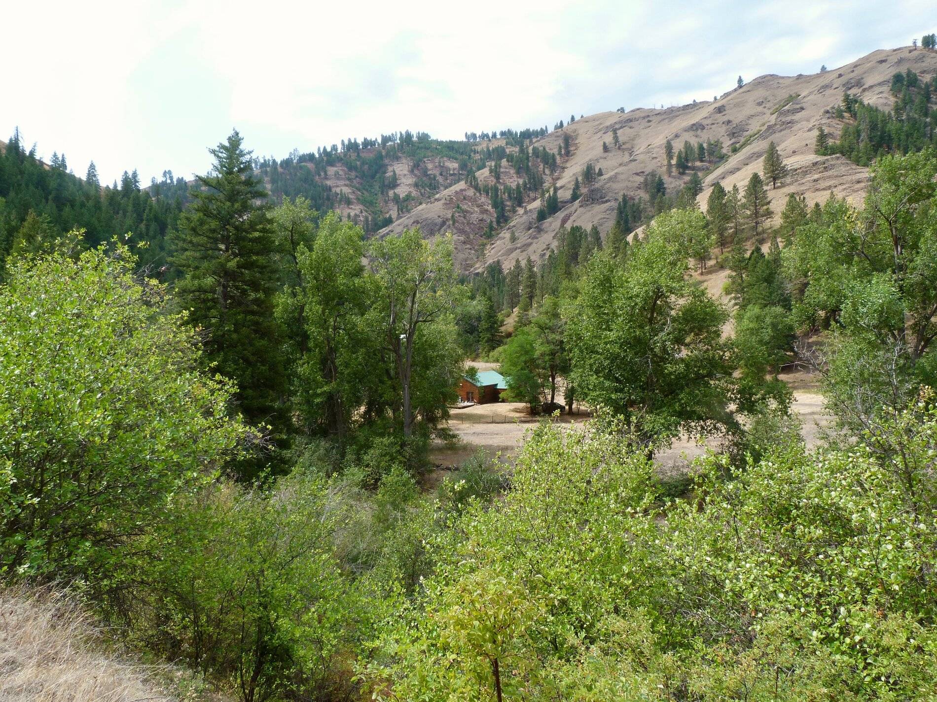 P1030029.jpg