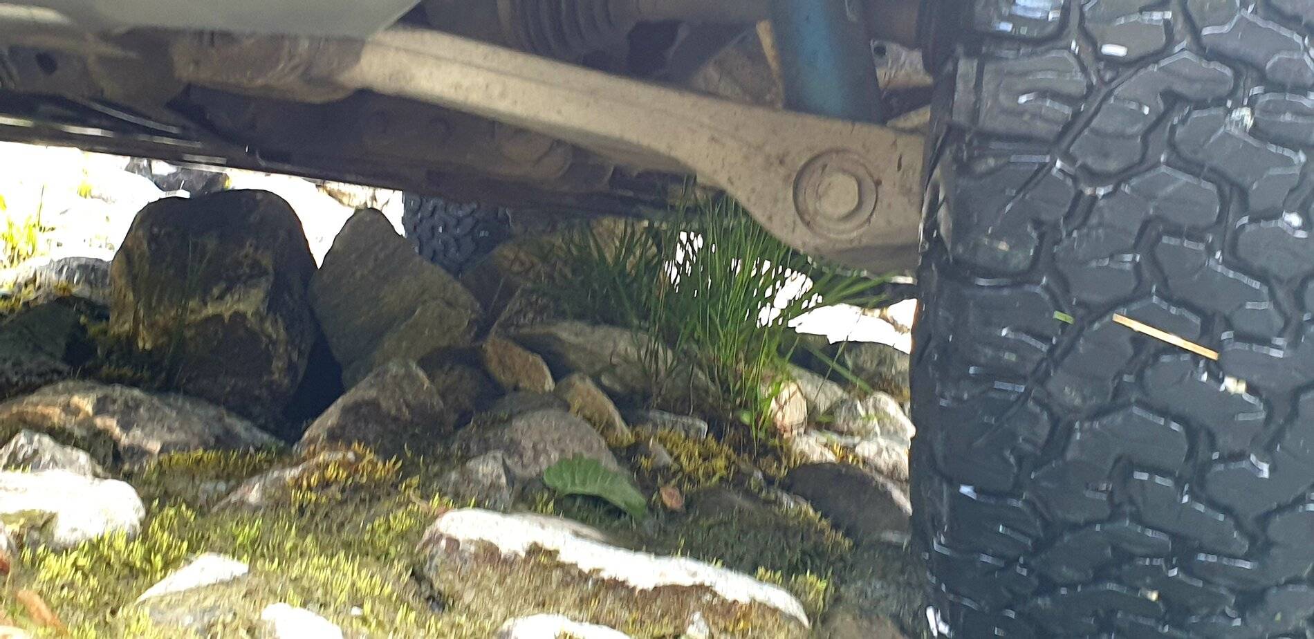 20210731_223028.jpg
