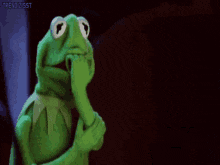 ugly-kermit.gif