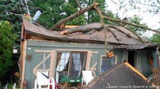 Tree On Cottage.jpg