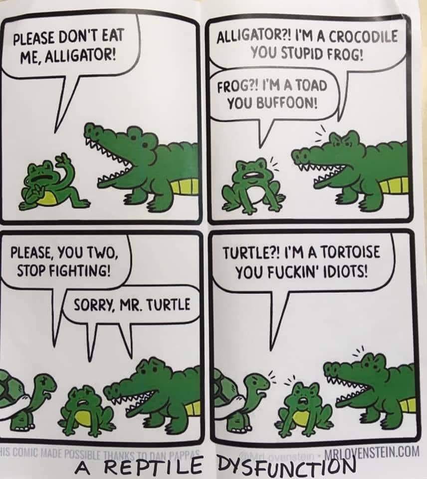 reptiledisfunction.jpg