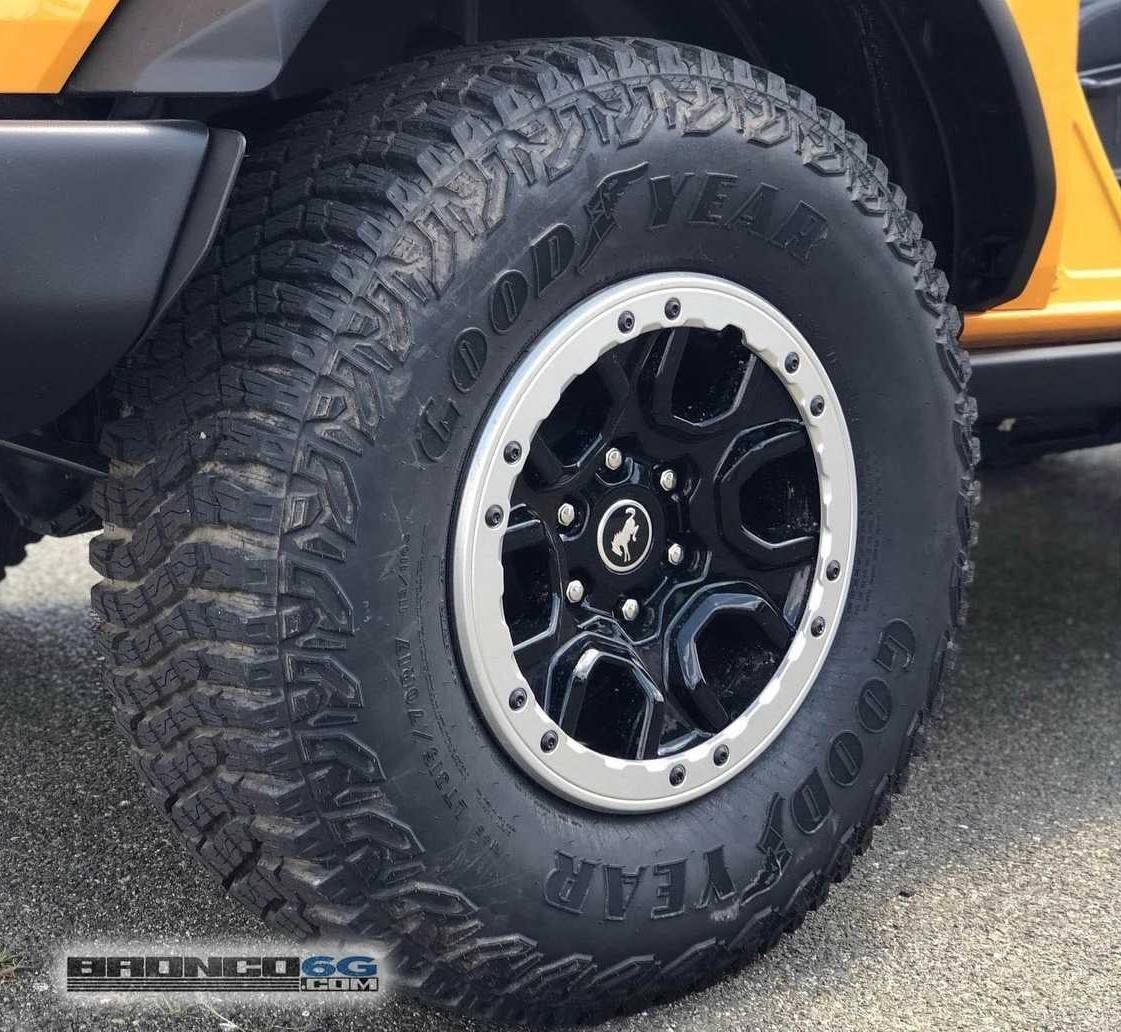 sasquatch wheel.jpg