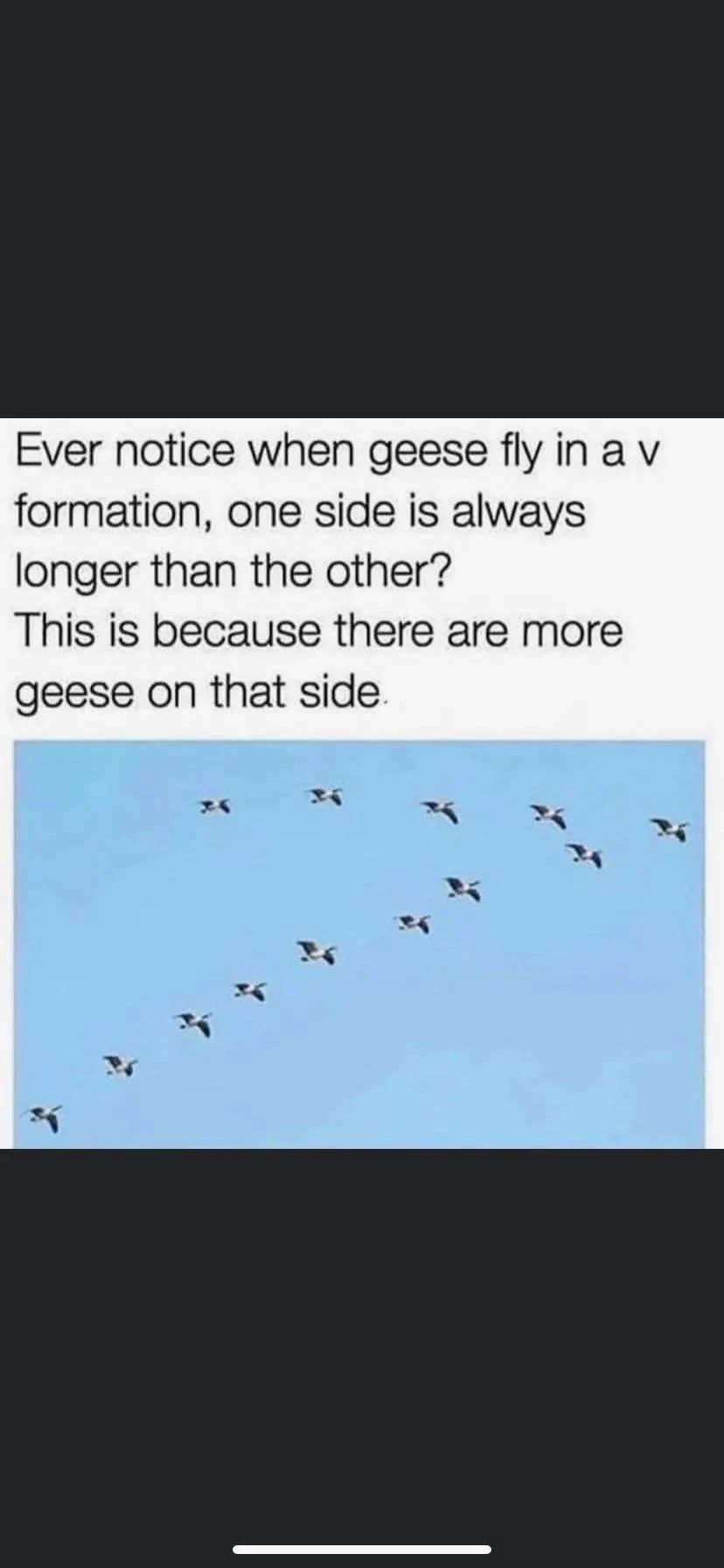D4A579E1-35F5-48E2-BBBB-A405B3877549.webp