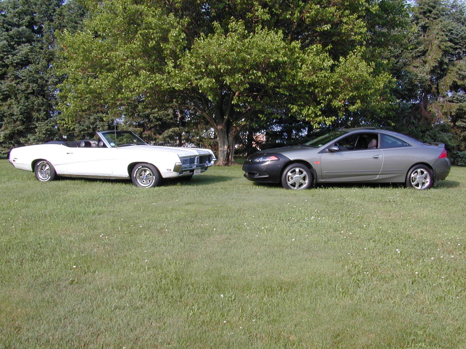 WilliamsburgCougarShow2001_001.JPG
