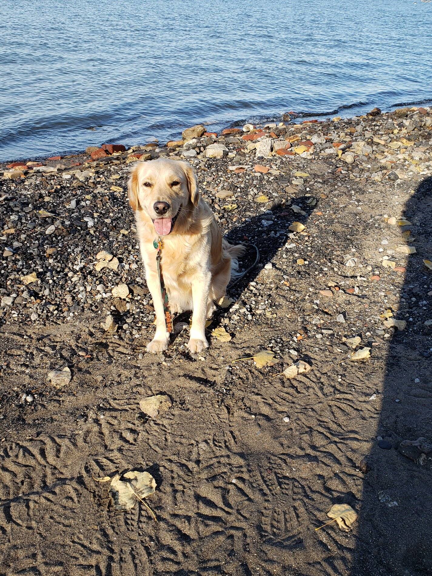 20201106_150354.jpg