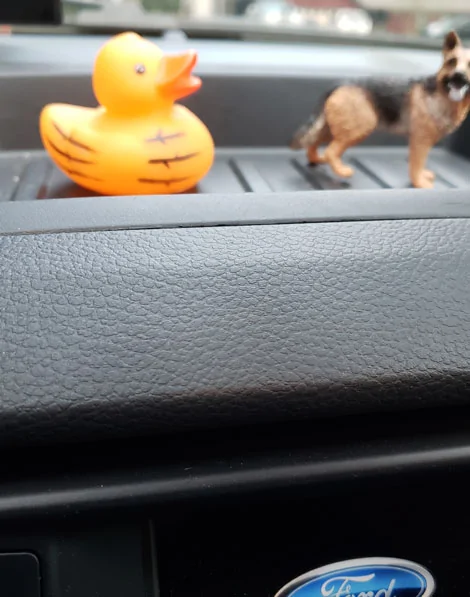 Ducking002.webp