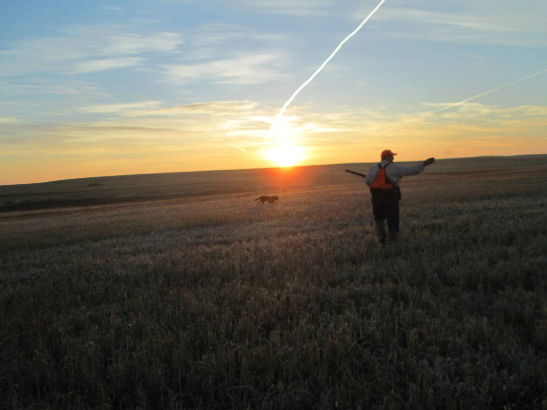IMG-0513.webp