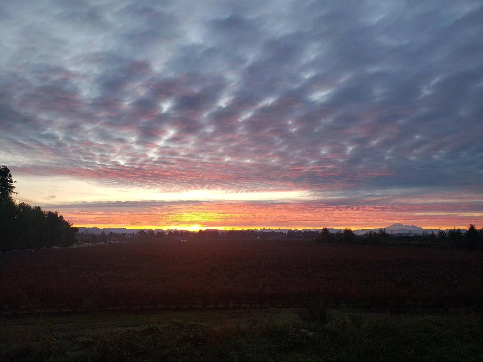 20211008_071723.jpg