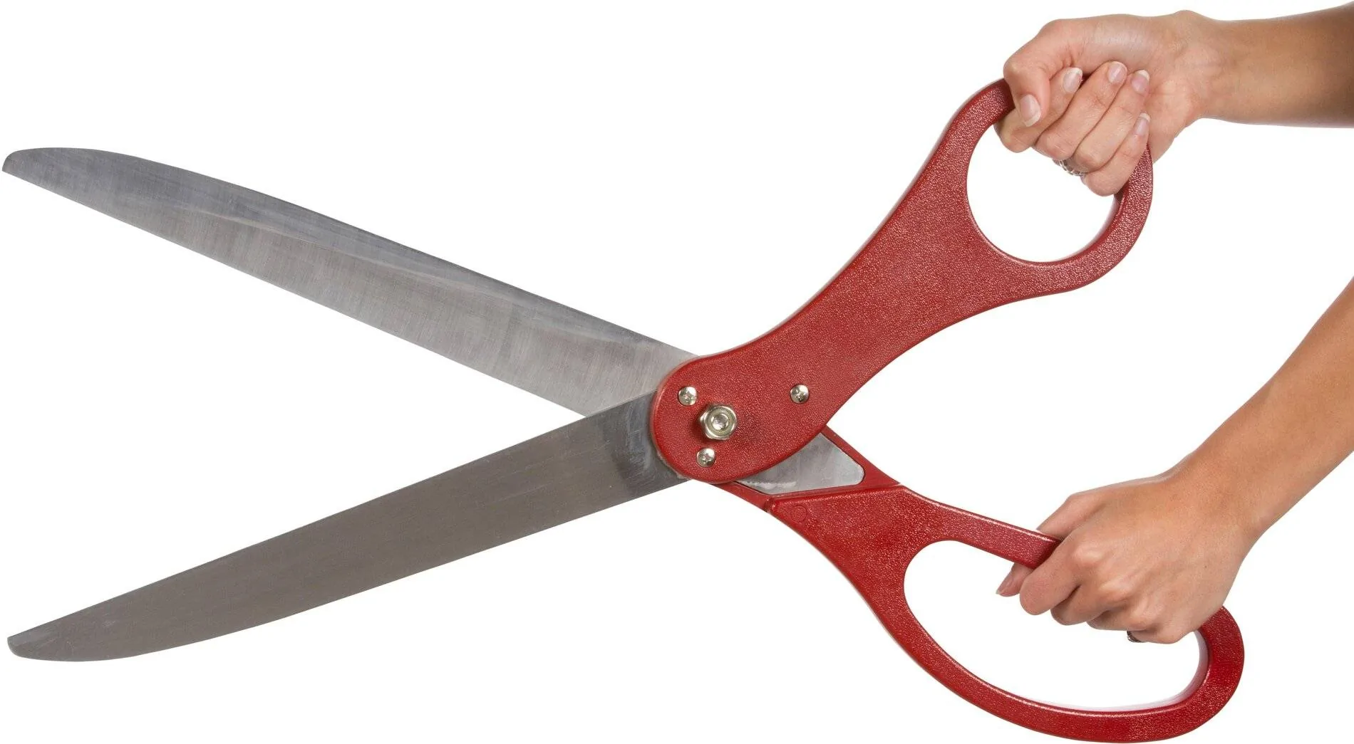 Large Scissors.jpg