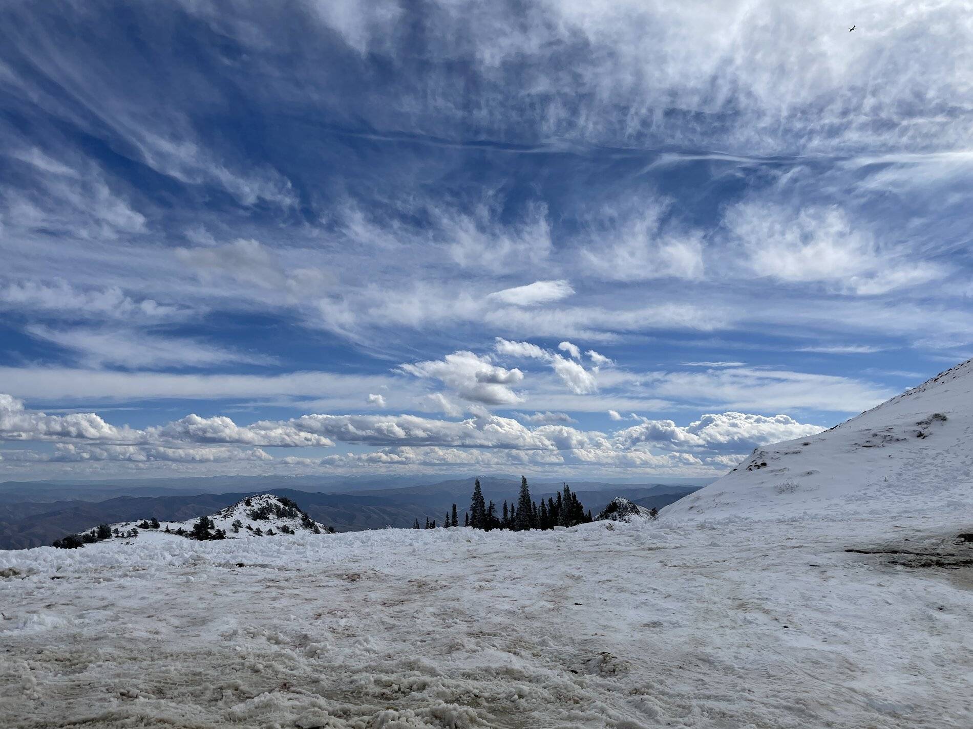 E002689D-1876-4D73-BC42-AA53E56426A5.jpeg