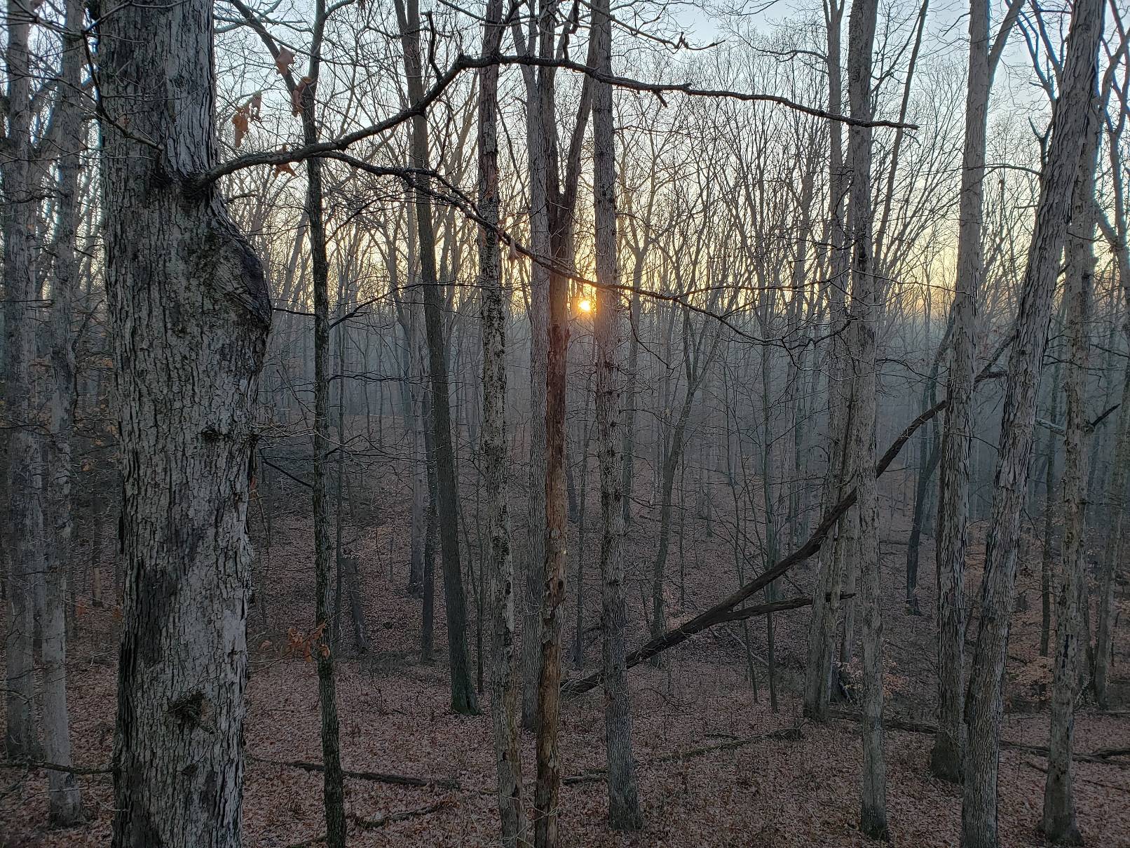 20201205_081449.jpg
