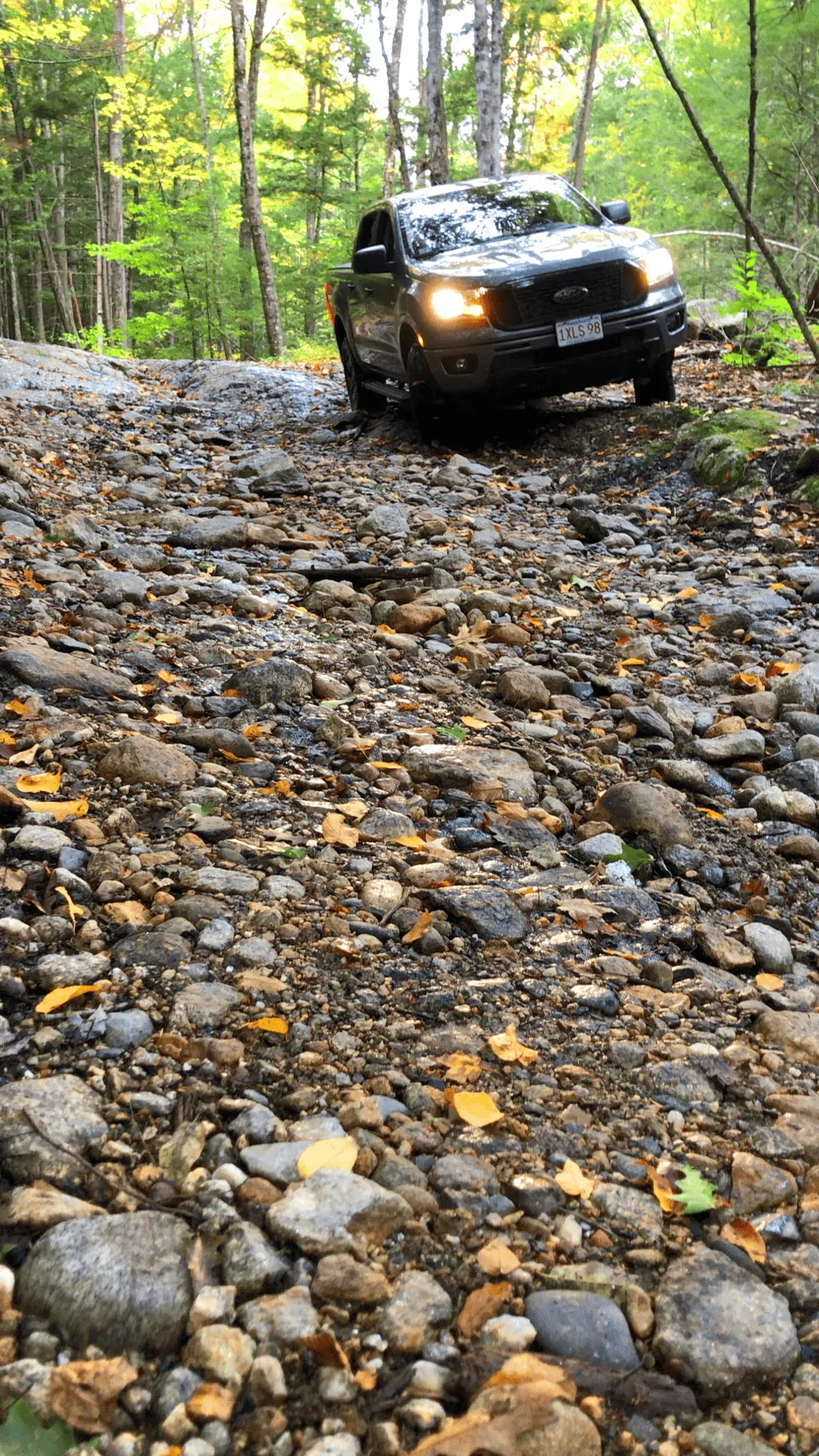 Class 6 NE of Pisgah Sat.webp