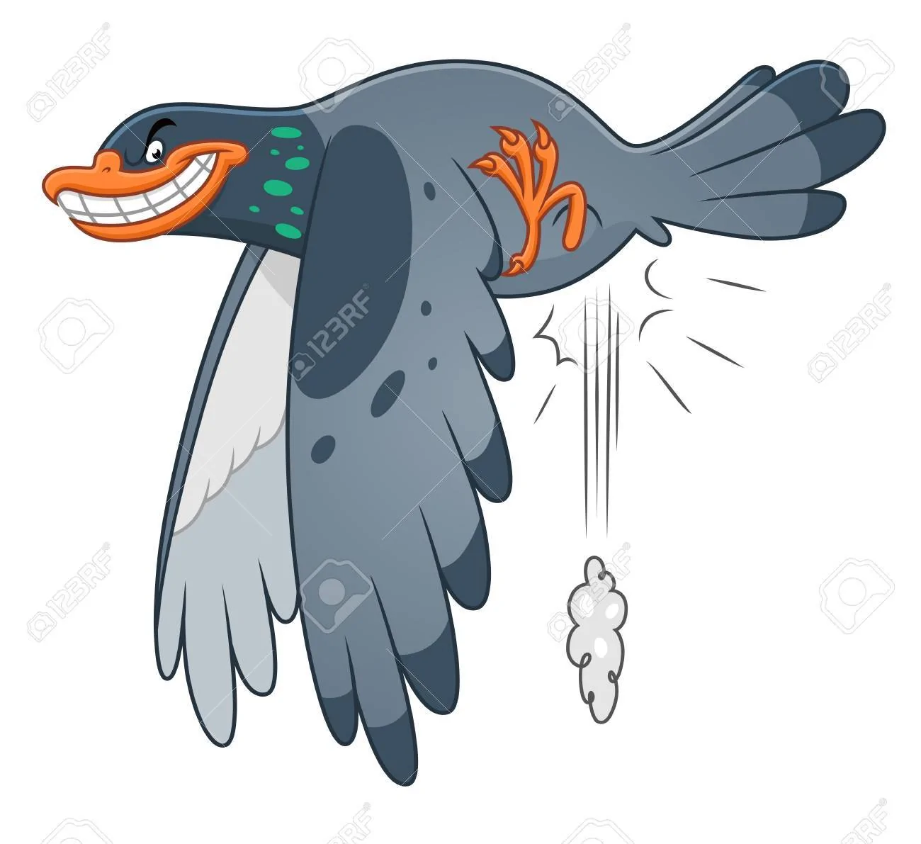98544050-snide-pigeon.webp