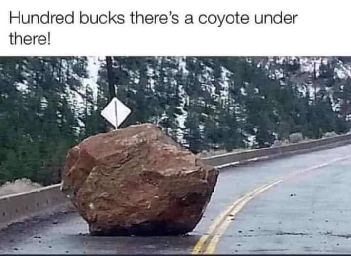 5AF8B8C7-0E9B-420A-8C1D-D5EA8078BB00.jpeg