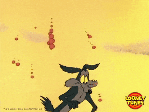 57746966-607E-4CA1-819A-5C2BF8A778E5.gif