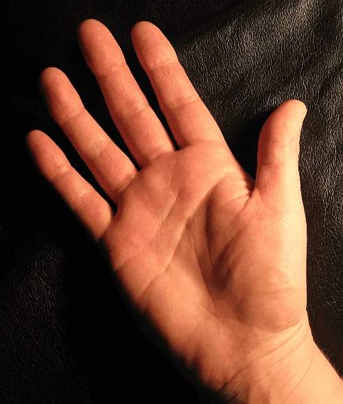 hand-right-500px.webp