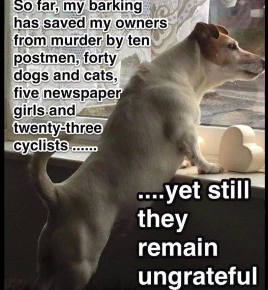 Barking.webp