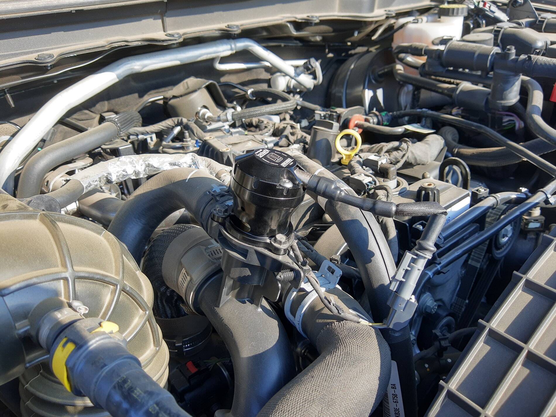 IMG_20211105_151334763_HDR.jpg