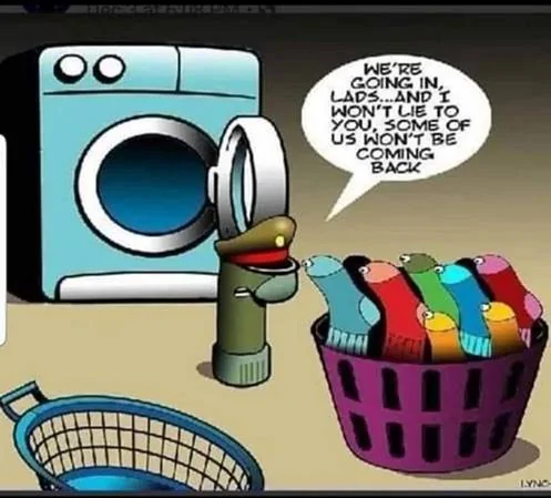 socks.webp