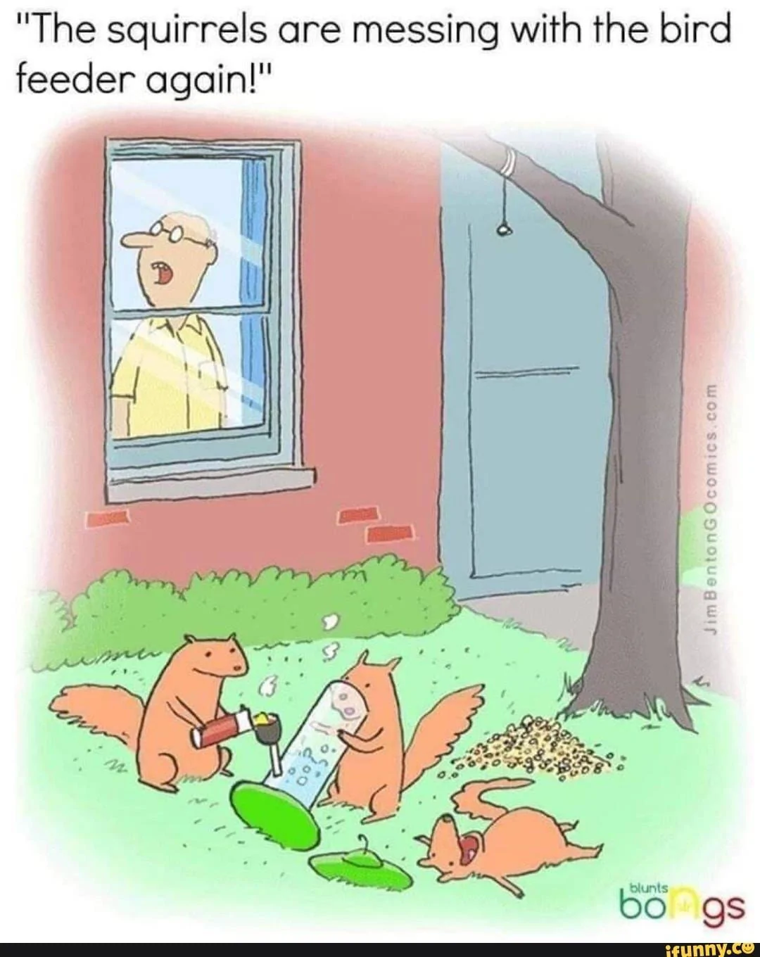 Squirrles .webp