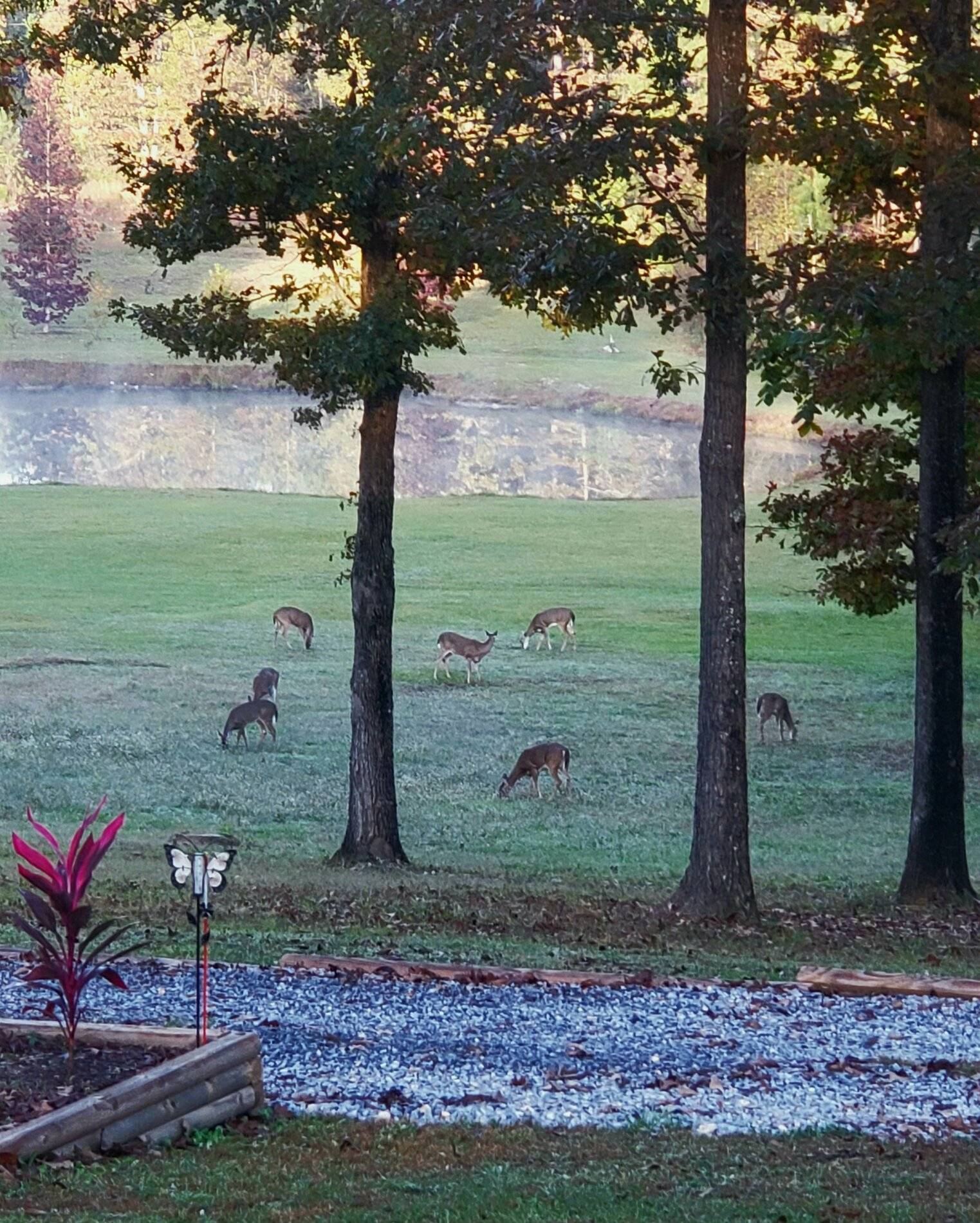 20211024_074037.jpg