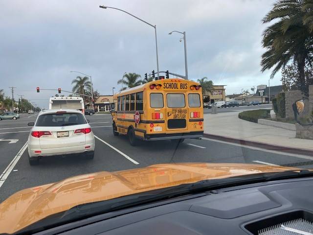 bus.jpg