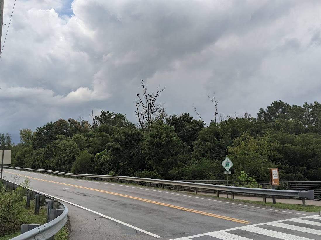 buzzards trail.jpg