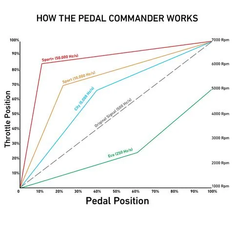 8_PC_Chart_large.jpg