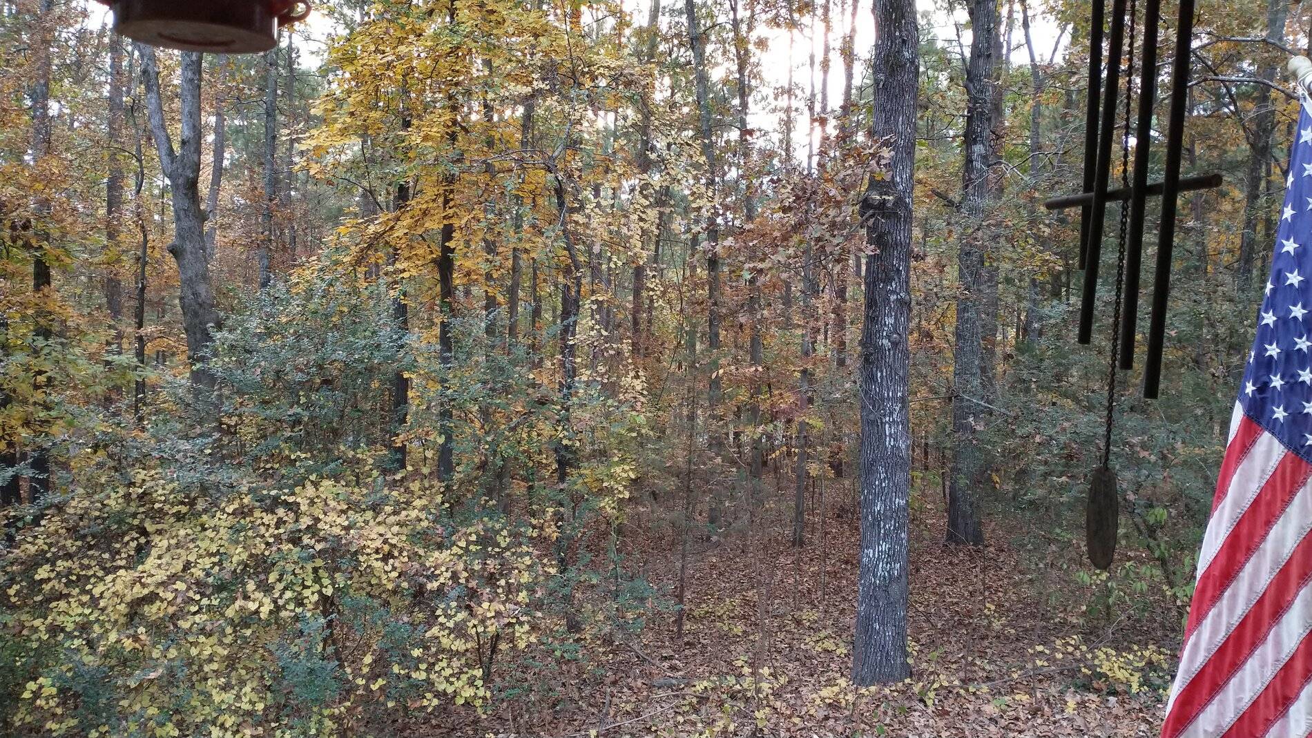 IMG_20211111_171541230.jpg