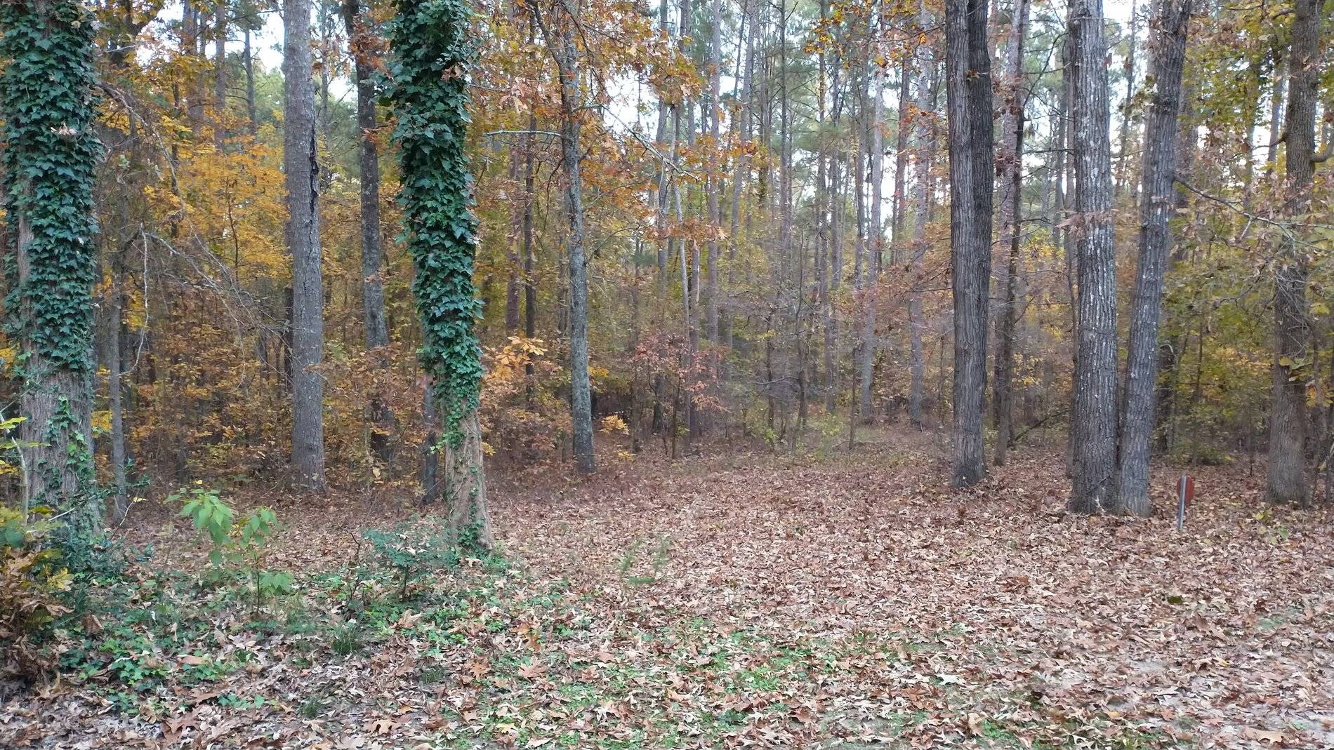IMG_20211111_172215824.jpg