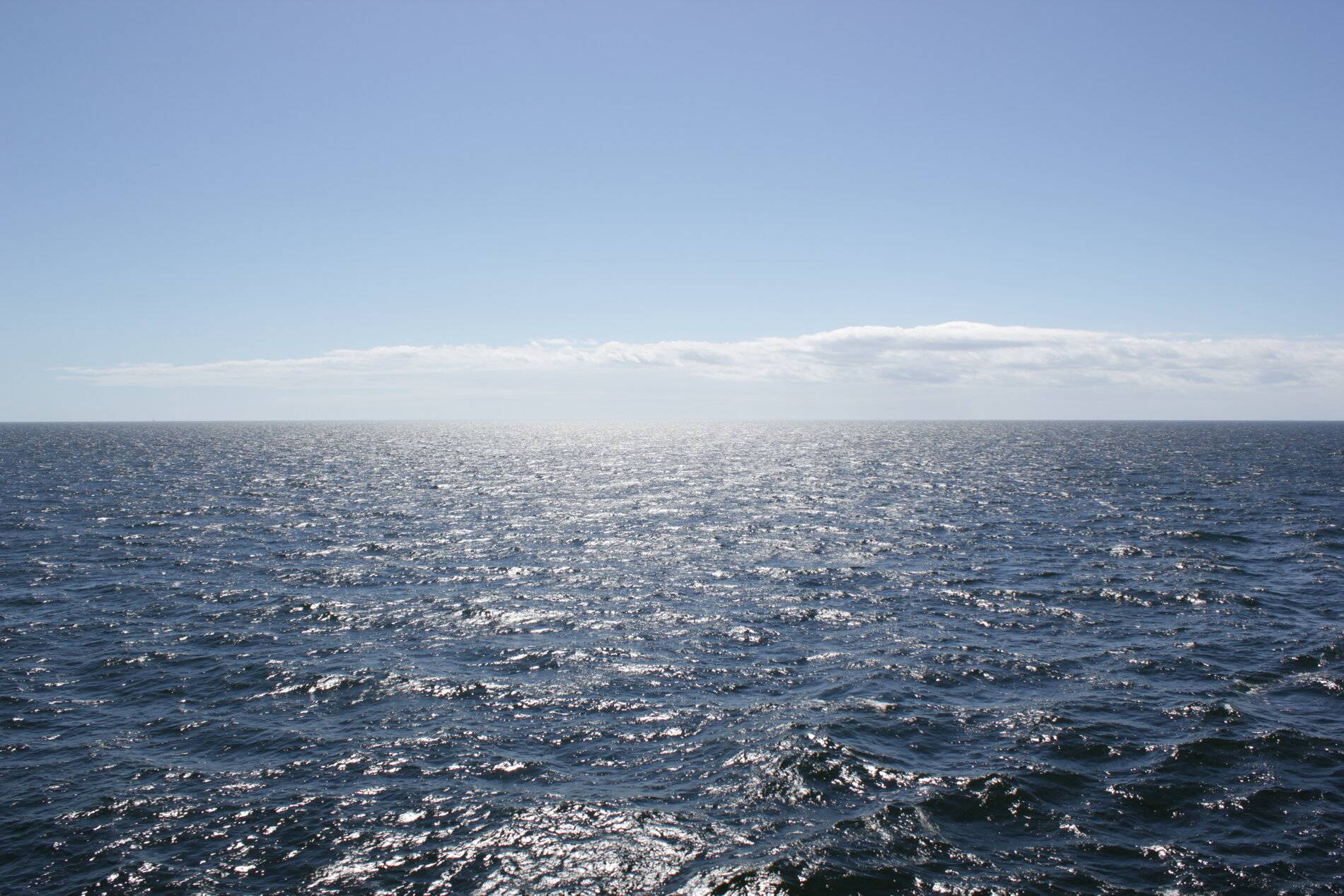 IMG_7524.JPG
