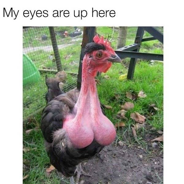 My Eyes Are Up Here.jpg