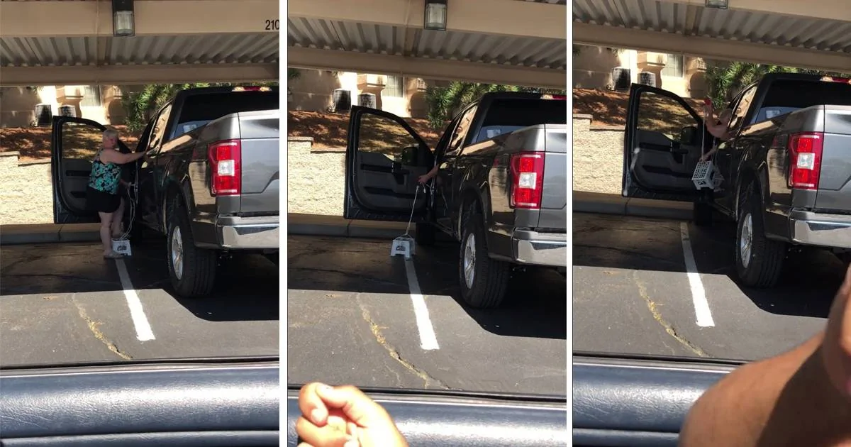 climbontotruck111merge.webp