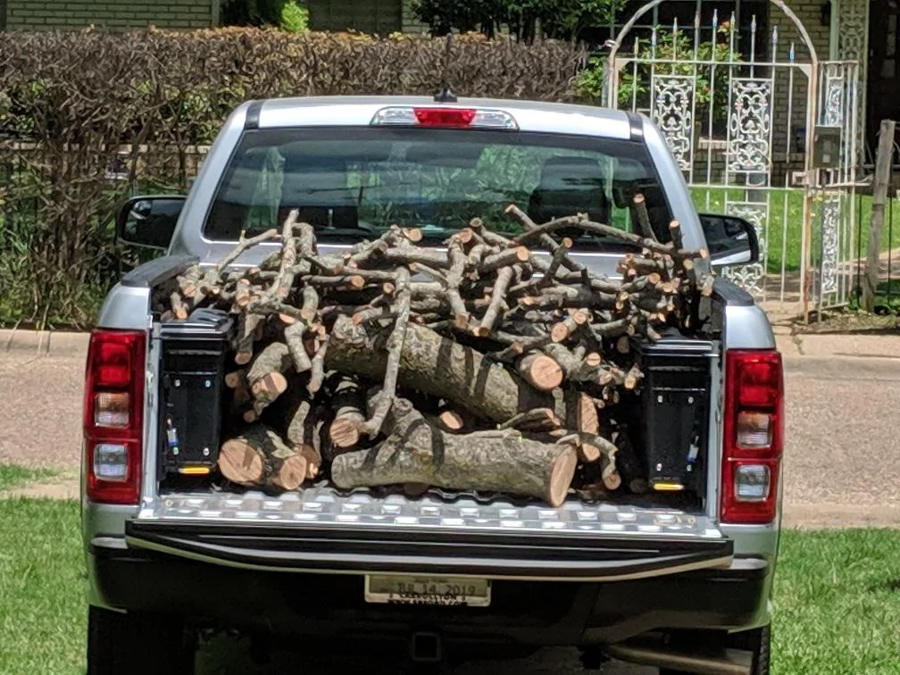 Fire wood-1.webp