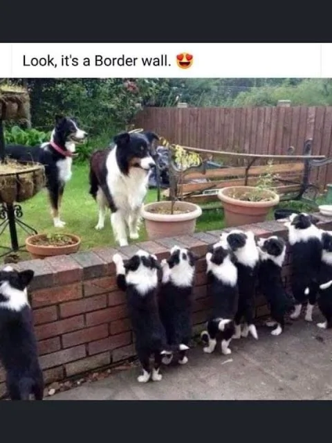 Border.jpg