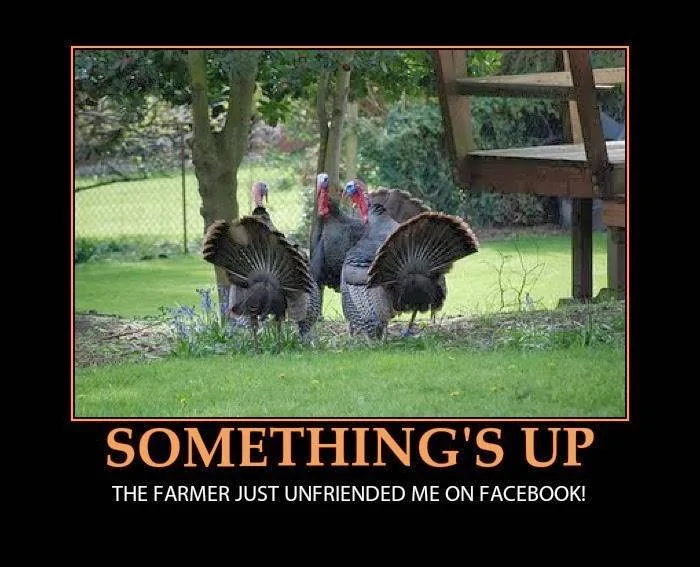 Something's Up.webp