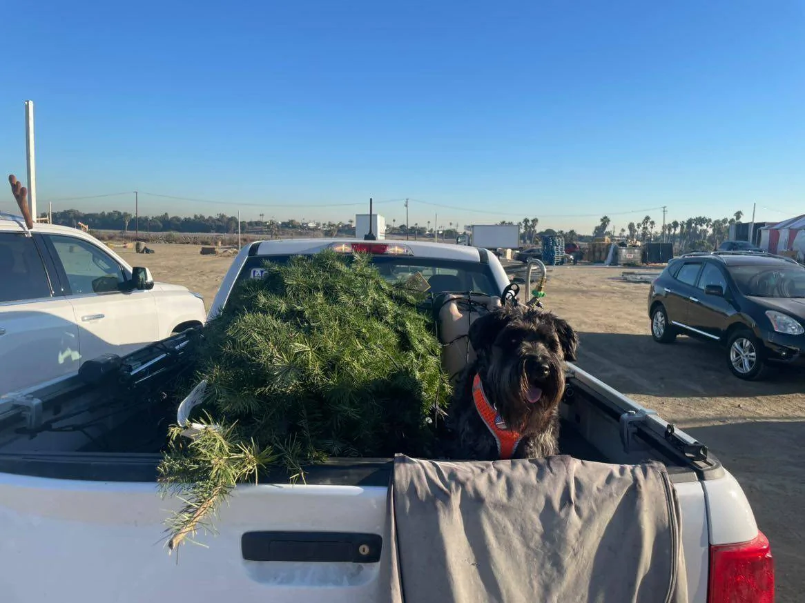 IMG_20211129_113902_194.webp