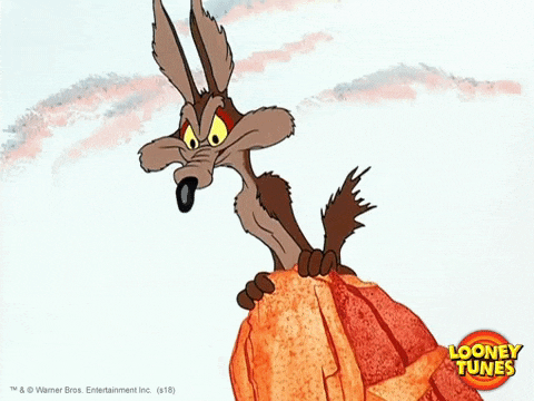 D229D8C8-A78C-48BF-AED7-310355BE1371.gif
