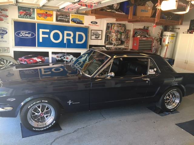 66pony.JPG