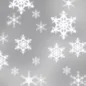 sn.webp
