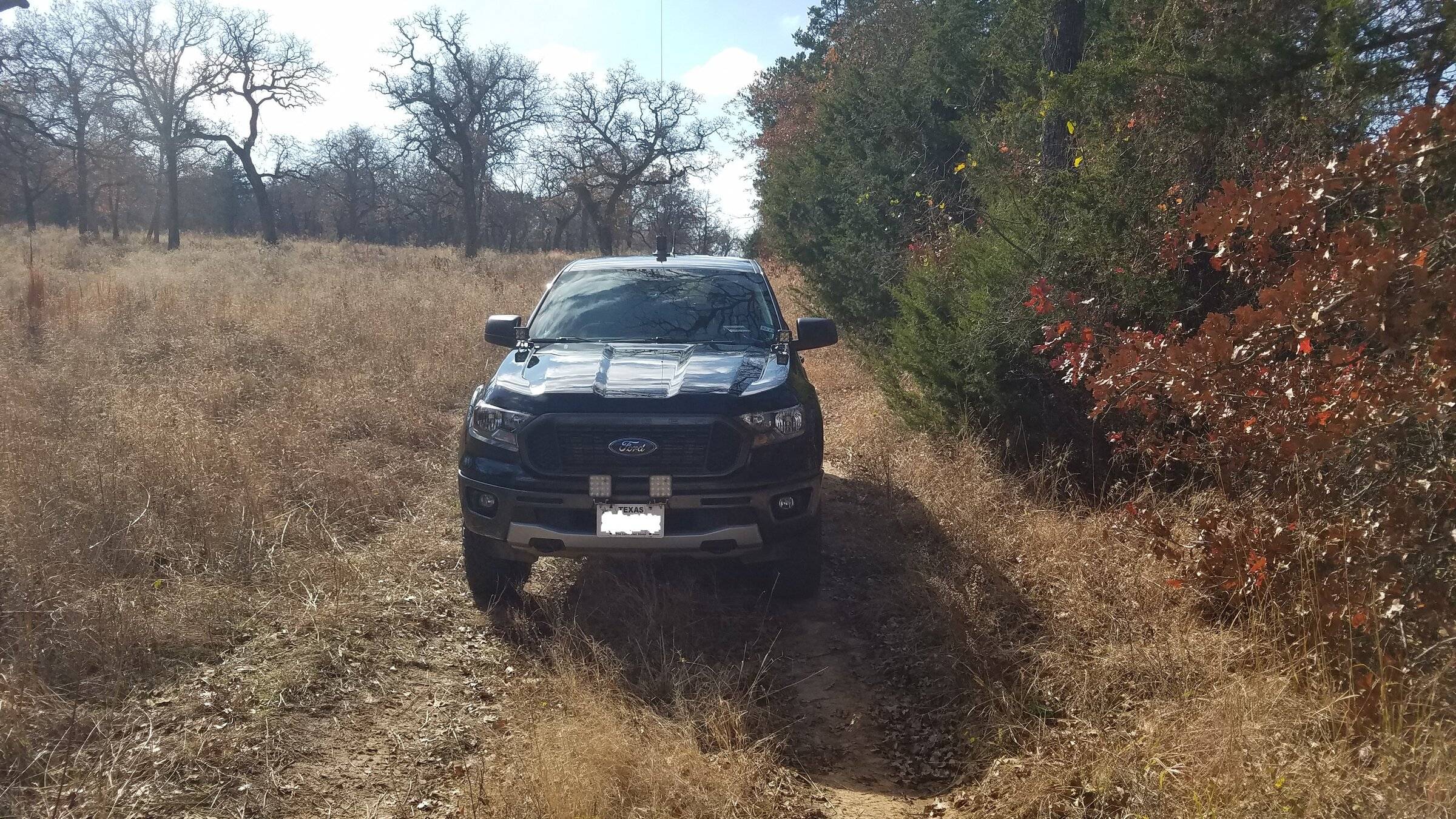 abbigial dirt trail.jpg