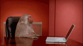 giphy (4).gif