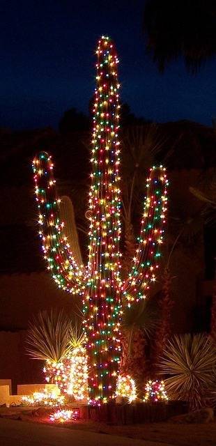 Christmas Suguaro.jpg