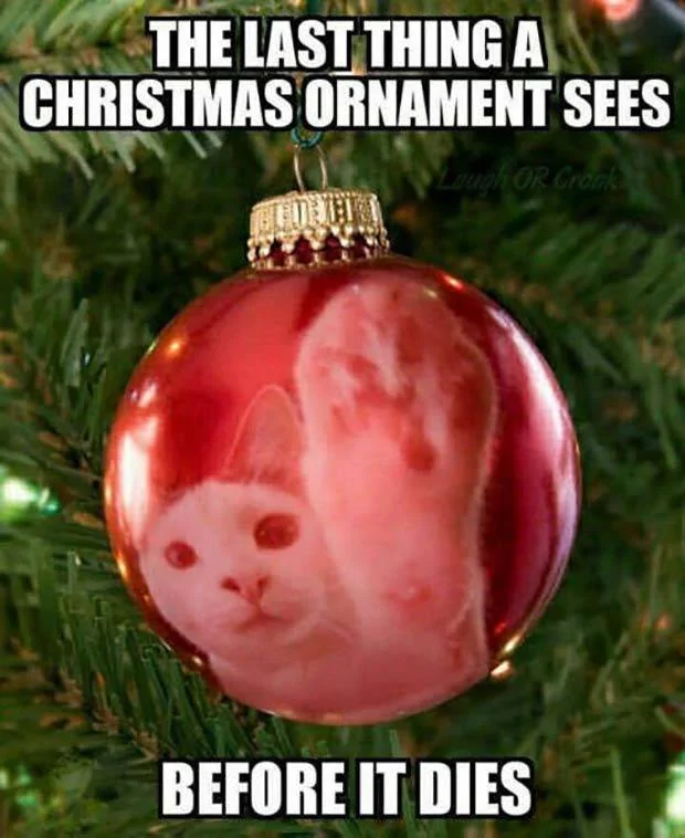 christmas 3.webp